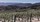 17th Annual Vineyard Picnic & Tour - View 1
